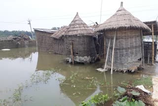 people are faces many problems effects of flood