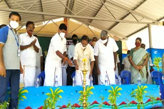 Sapling planting ceremony