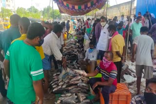 heavy rush at fish market, nirmal fish market 