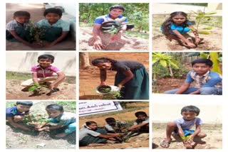 Karur environment day Celebration