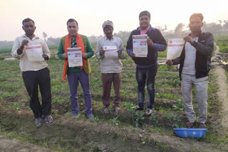 BJP workers distribute letter from Agriculture Minister in Yamuna Khadar area