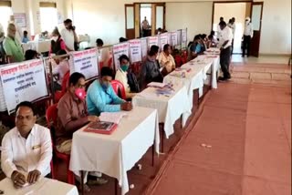 ocal body elections in nashik