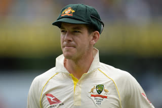 Tim Paine