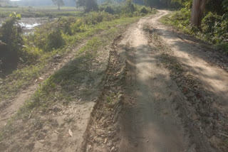 Poor condition of road in Moran