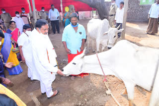 The Panchayati Raj Minister said that everyone should work for the care of cows