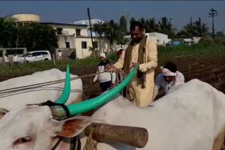 Sadabhau Khot and Padalkar helped the farmer