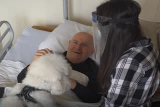 Dogs provide love at nursing home during pandemic