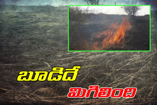 trees burnt in vikarabad forest area