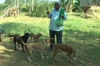 Crop protection from animal and birds in Haveri