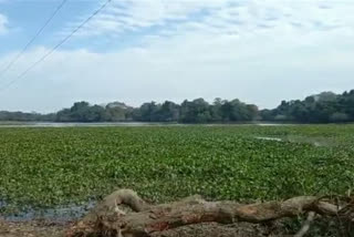 ban on fishing at potahi wetland