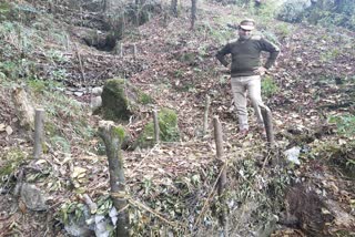 check dams being prepared in rudraprayag