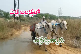 illegal sand transport on bullock carts from swarnamukhi river