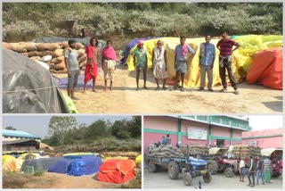 Farmers alleged millers donot take Purchased paddy from mandi in Subarnapur