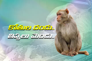 monkeys problems in karimnagar district