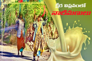 nizamabad district women in dairy industry