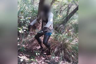 man body found hanged in forest