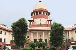 plea in sc seeks establishment for media tribunal