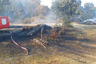 Several acres of crop wasted due to fire in Haladula of Dongargaon