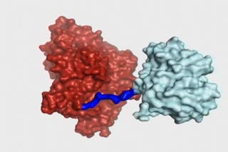 Scientists working on plastic-eating enzymes that could be used in recycling found a way to make the process faster