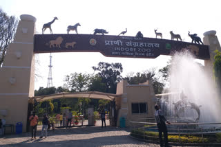 Kamala Nehru zoological museum