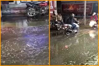 Local disturbed by water logging in Begum Pur Delhi