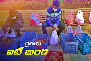 software employees helped Nalgonda tomato farmers