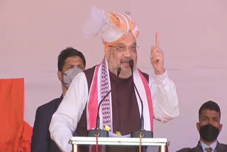 PM Modi has brought flood of development in NE: Amit Shah