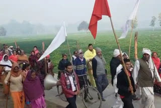 parikrama at tirtha Bateshwar