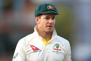 Tim Paine