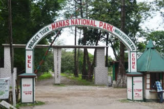 tourists-flock-to-manah-national-park