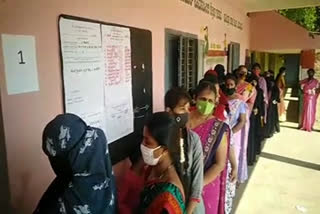 Puttur Taluk Gram Panchayat election is 78 percent voting