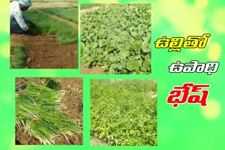 mahabubnagar-farmers-onion-farming-special-story