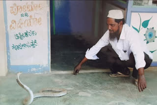 Snake Sadiq Protection of snakes in Doddaballapura