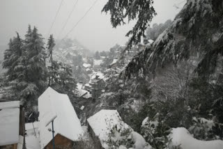 Himachal Pradesh: Shimla receives fresh snowfall; visuals from Jakhoo area of the city.