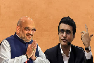 sourav ganguly meeting with amit shah in delhi