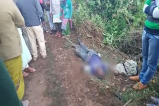 man die the elephant attack in Kodagu