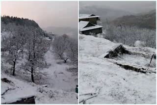 First snowfall of season in Rajgarh