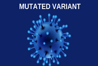 corona,  latest coronavirus mutations