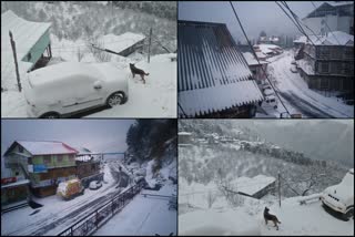 snowfall in Rampur