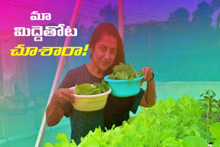 suhasini maniratnam about terrace garden