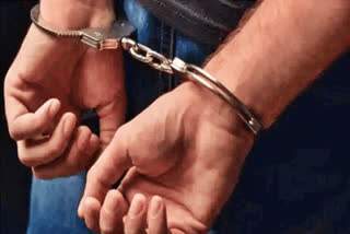 cattle smuggler arrested