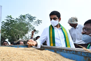 tdp leader nara lokesh