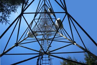 Telecom industry seeks govt support: COAI