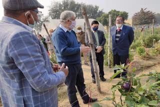 भारतीय कृषि अनुसंधान में भ्रमण करते अधिकारी.