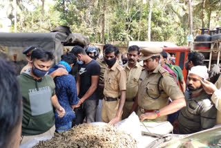 മഞ്ചേരി  കഞ്ചാവ് വേട്ട  ഇന്റലിജൻസ് വിഭാഗം  കഞ്ചാവ്  Cannabis raid Manjeri