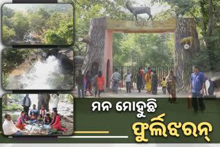 PICNIC SEASON STARTS KALAHANDI FURLIJHARN TOURIST PLACE ATTRACTS PEOPLE