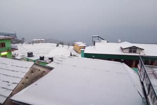 fresh-snowfall-in-himachal