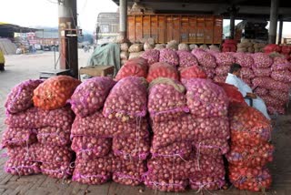 onion-export