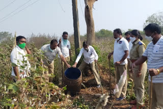 illegal gudumba business doing   in-the-fields