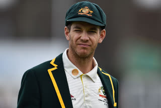 Tim Paine